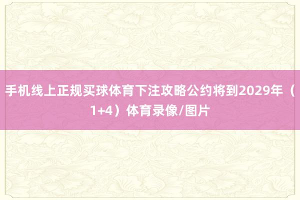 手机线上正规买球体育下注攻略公约将到2029年（1+4）体育录像/图片