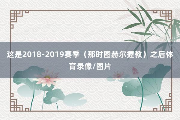 这是2018-2019赛季（那时图赫尔握教）之后体育录像/图片