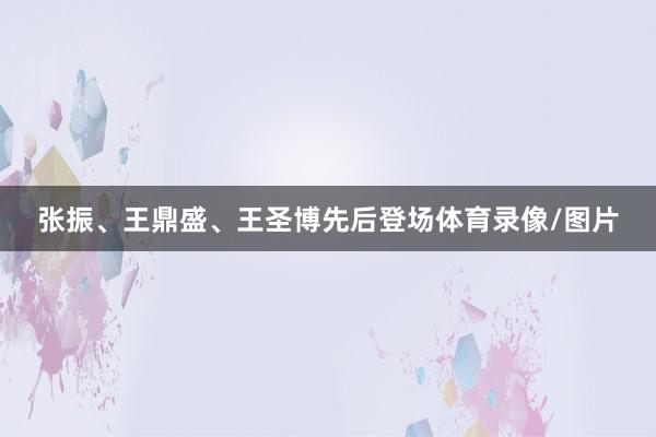 张振、王鼎盛、王圣博先后登场体育录像/图片